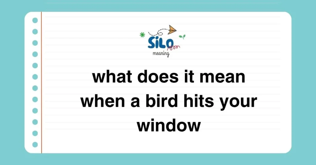 What Does It Mean When a Bird Hits Your Window? A Deeper Look Into Signs, Science, and Symbolism